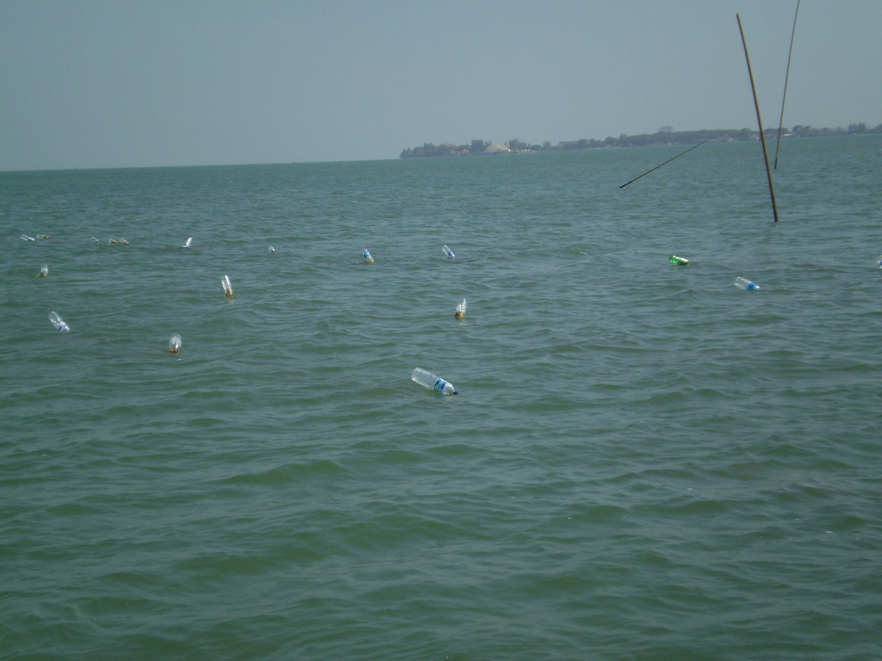 乾淨海域無重金屬汙染